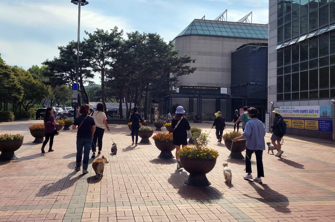 (관련사진)반려견과 산책하는 과천시민들 모습