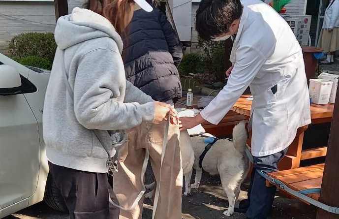 (관련사진)과천시가 실시한 찾아가는 광견병 예방접종 모습