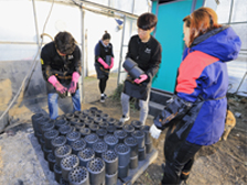 연탄배달 봉사